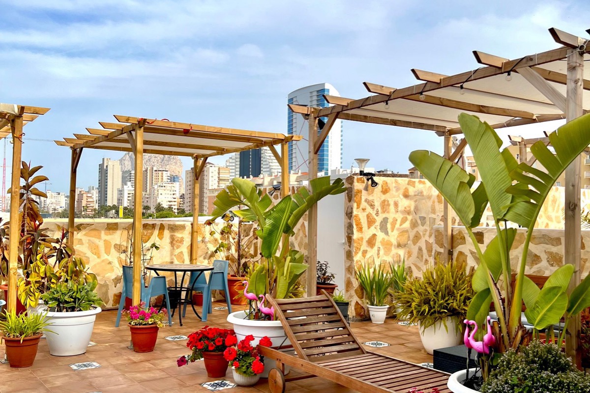 Rooftop garden terrace with potted plants and planters against a city skyline